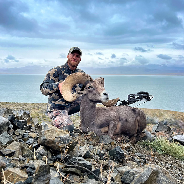 Hunter with a desert bighorn sheep and his bow